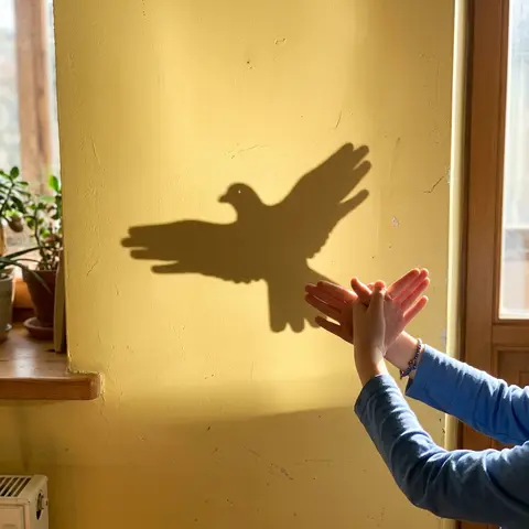A hand-shadow bird on a sunny wall